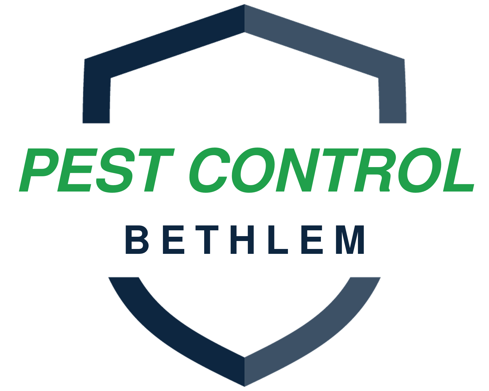 Pest Control Bethlem